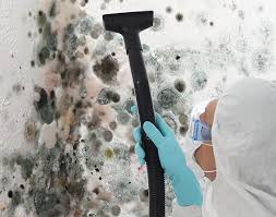 Why You Should Choose Our Mold Remediation Services in Pompton Plains, NJ